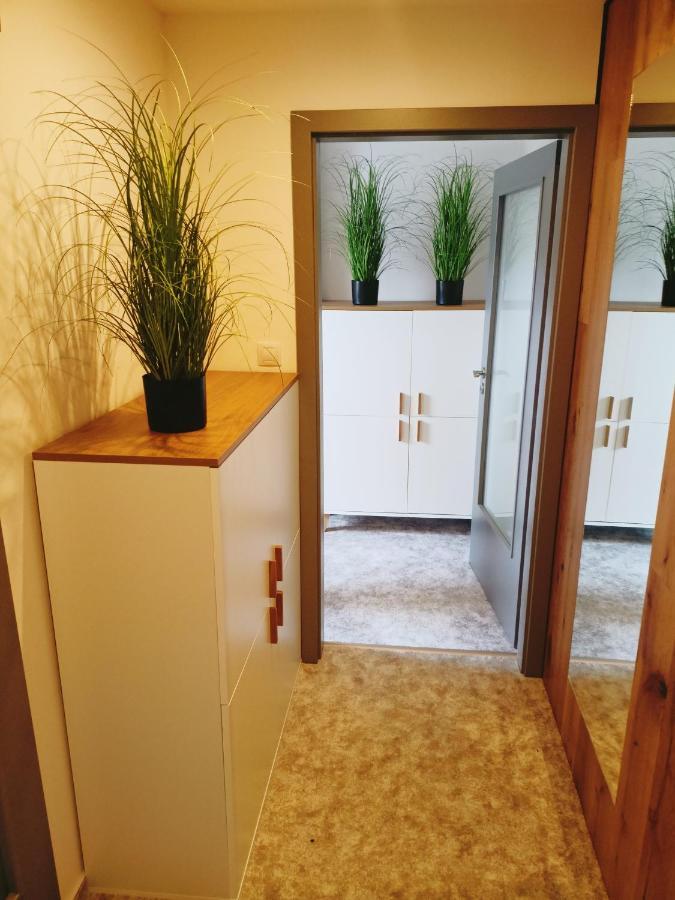 Apartman U Ovecku - Нова Пака Екстер'єр фото
